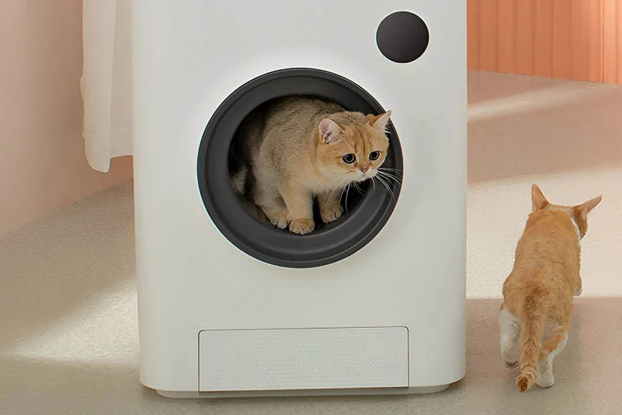 automatic cat boxes