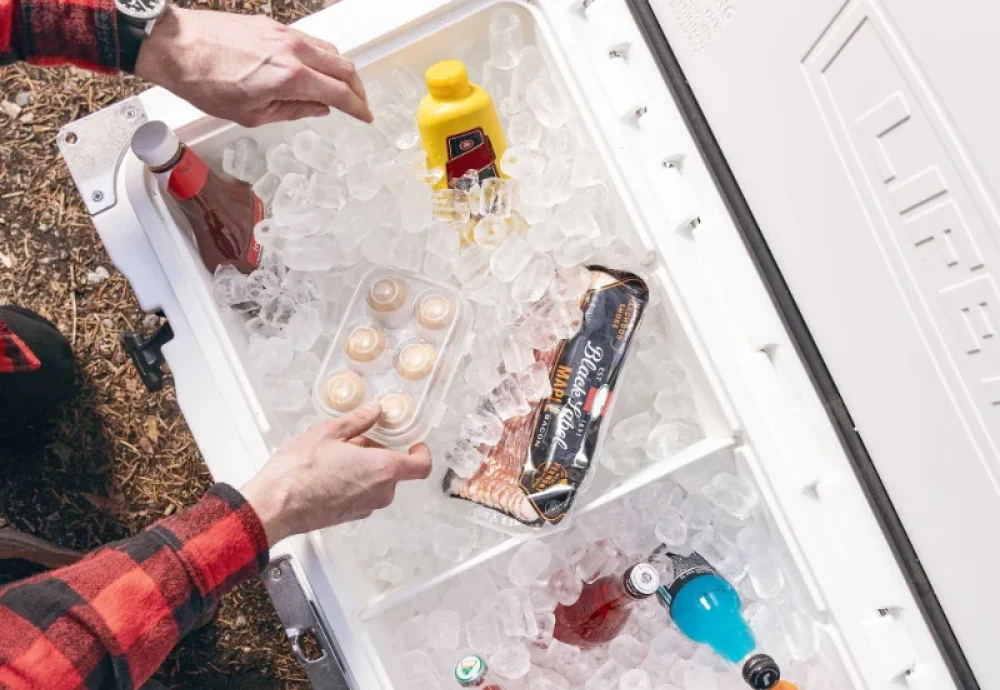 thermo chest cooler